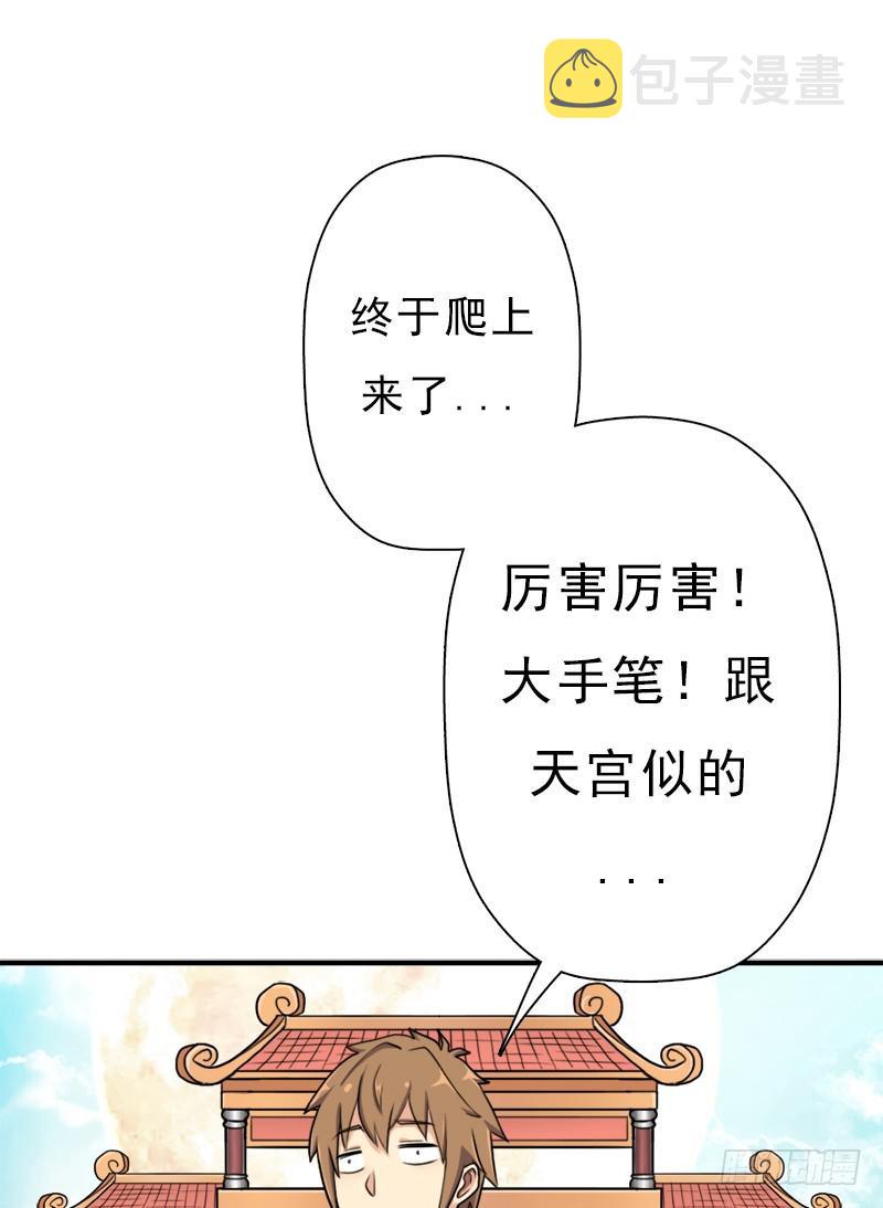 金铃儿59