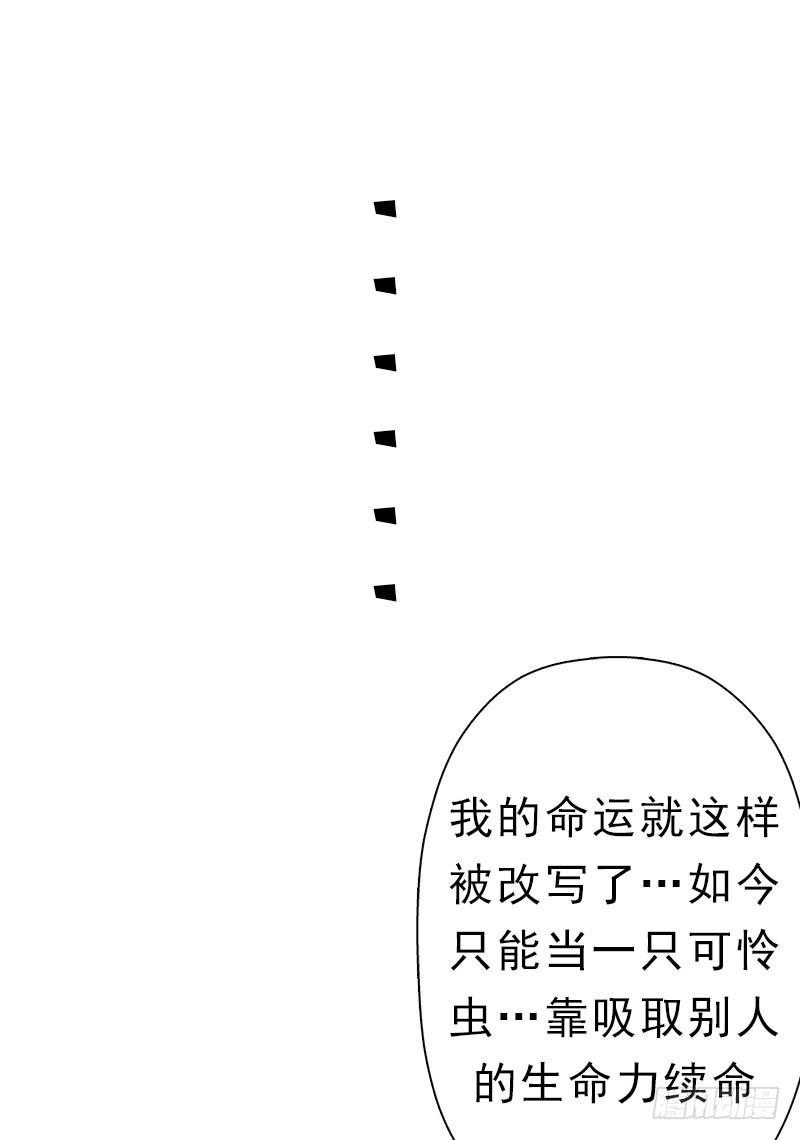 阳谋13