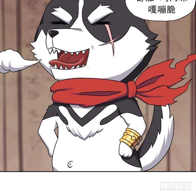 雏鹰组35