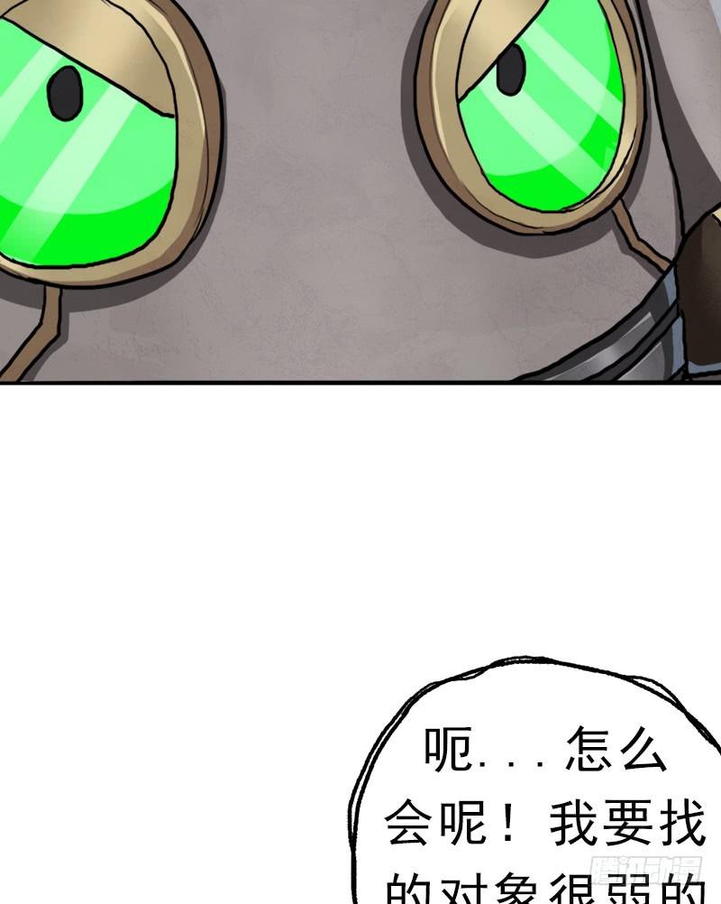 窥觑天机15