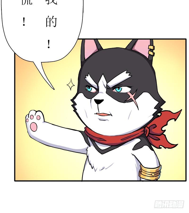 金蟾大人61