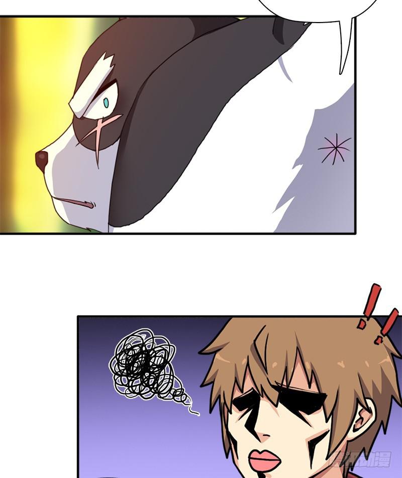 金蟾大人41