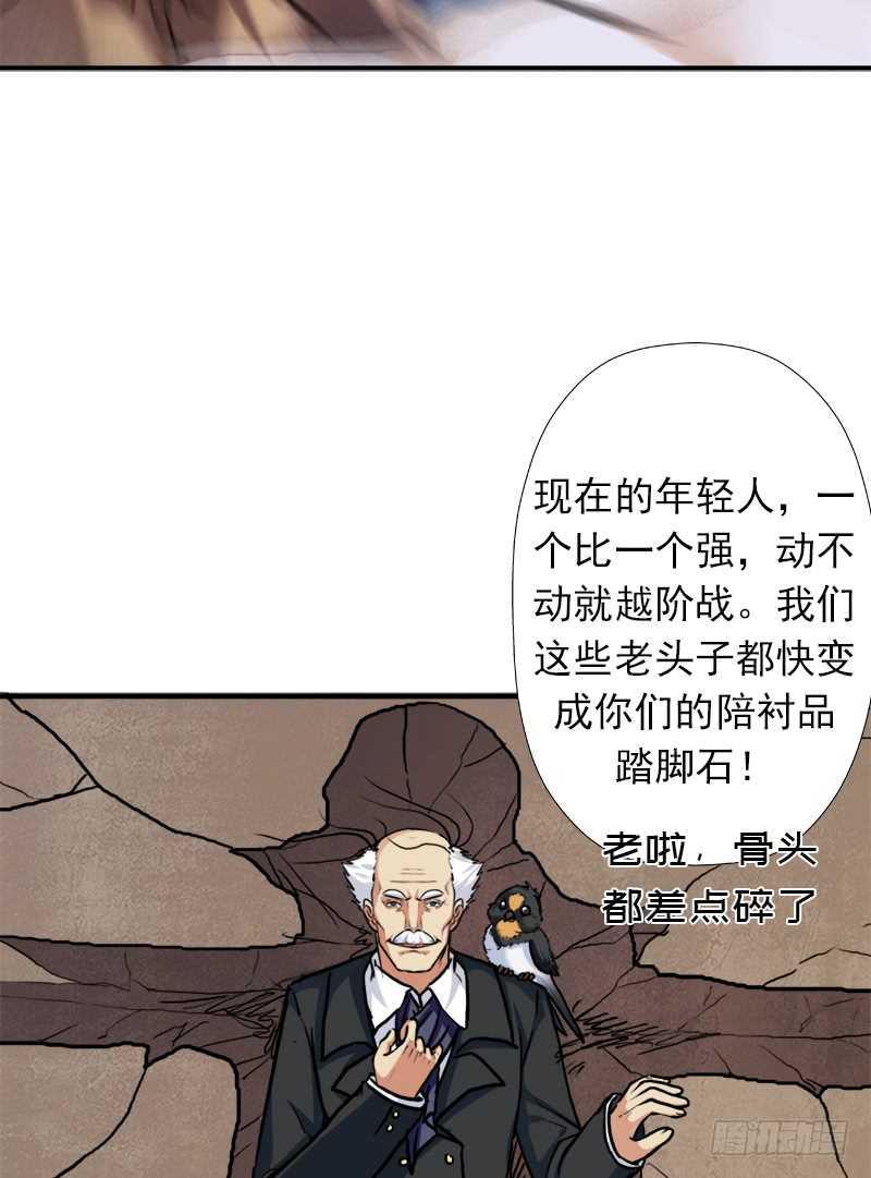 黑熊VS花衣23
