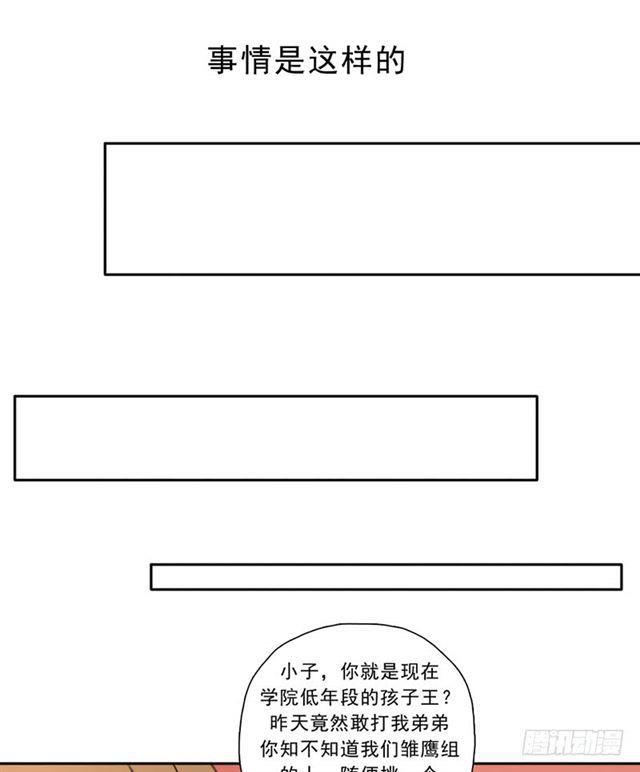 雏鹰组9