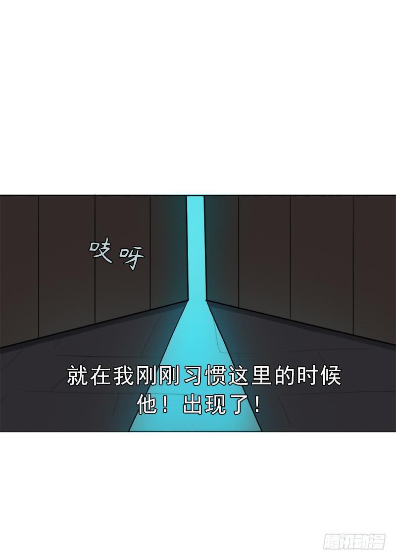 白骑士40