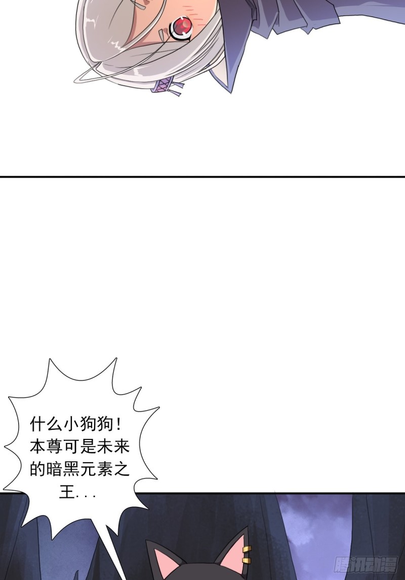 （第二季）野生的小狗狗38