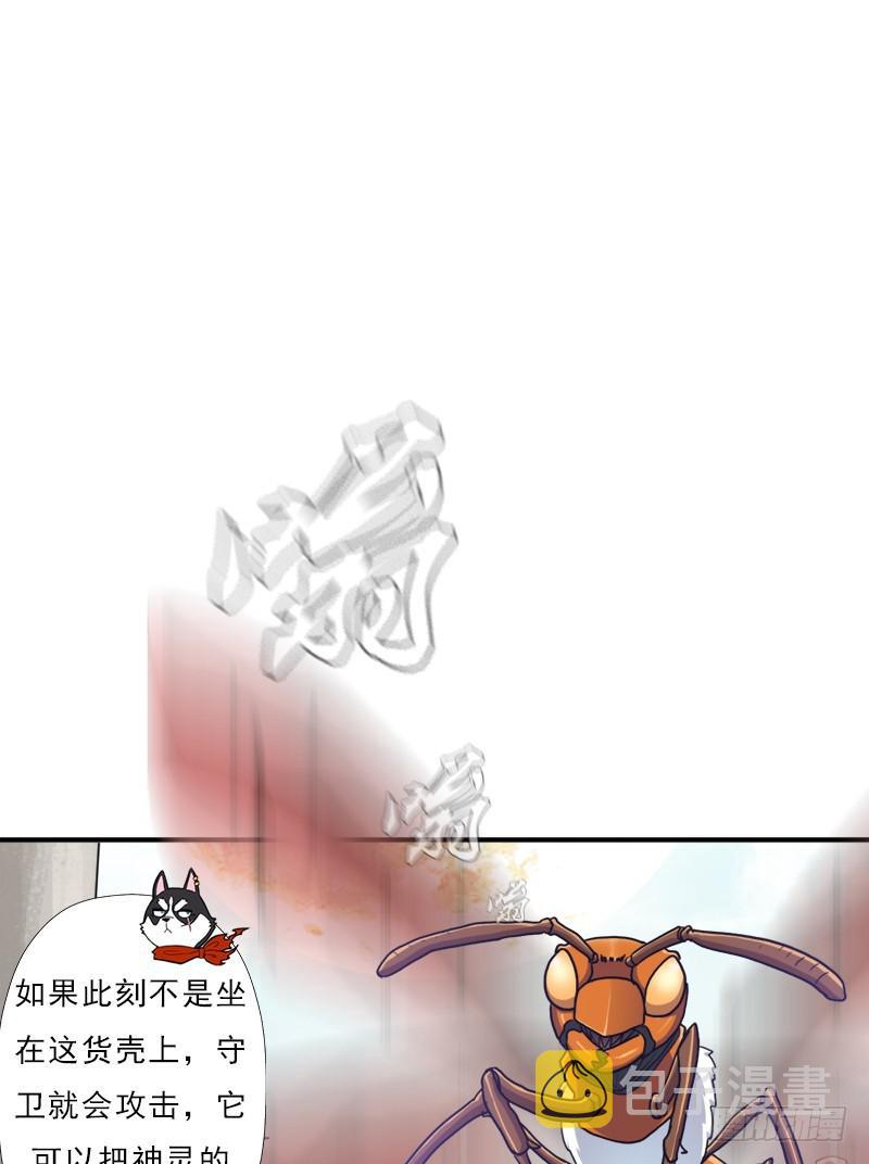 金铃儿57