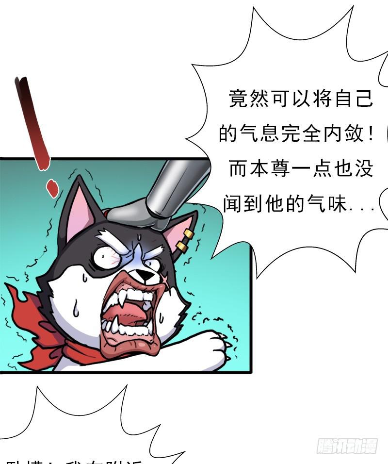 请注意！2