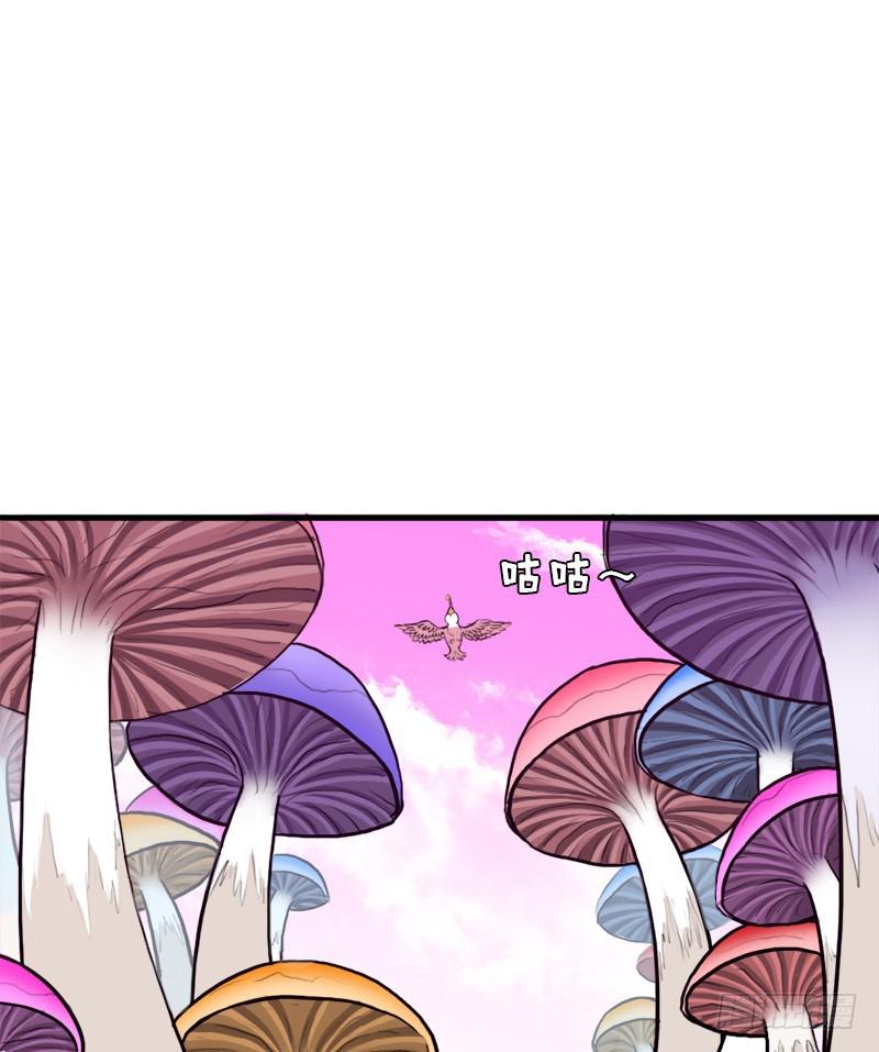 大神！请收我爲徒1