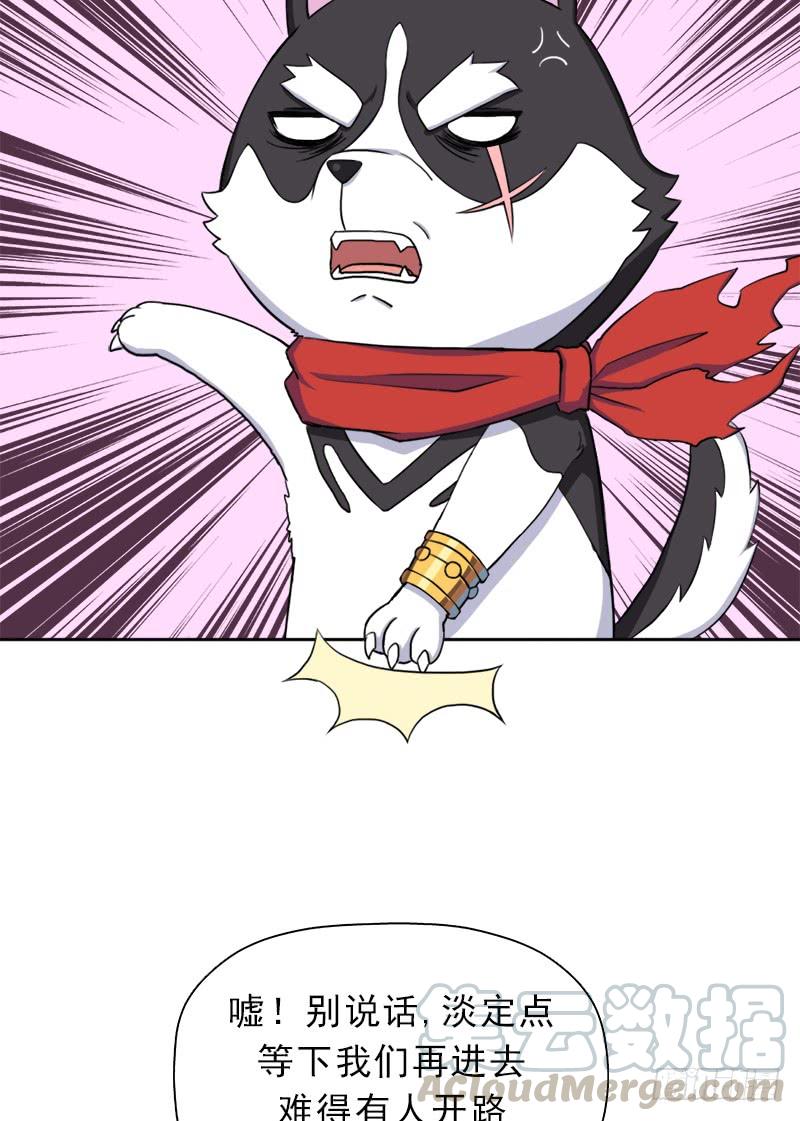 暗黑异宝出世？64