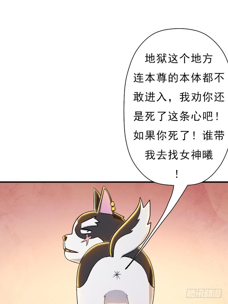 金蟾大人2