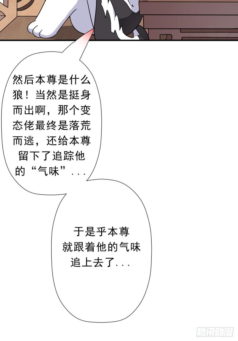 三个月後“神降”54