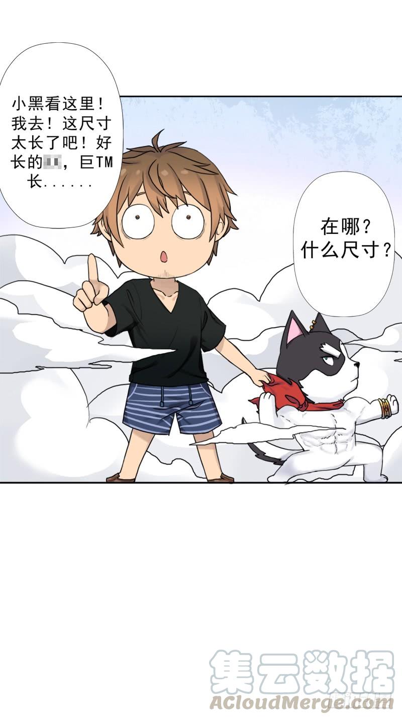 糟老头子坏得很10