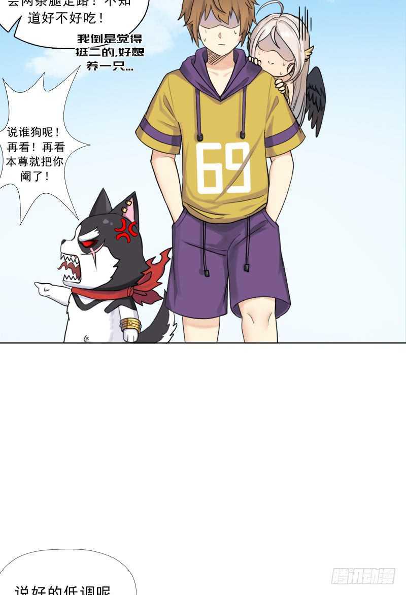 新的冒险11