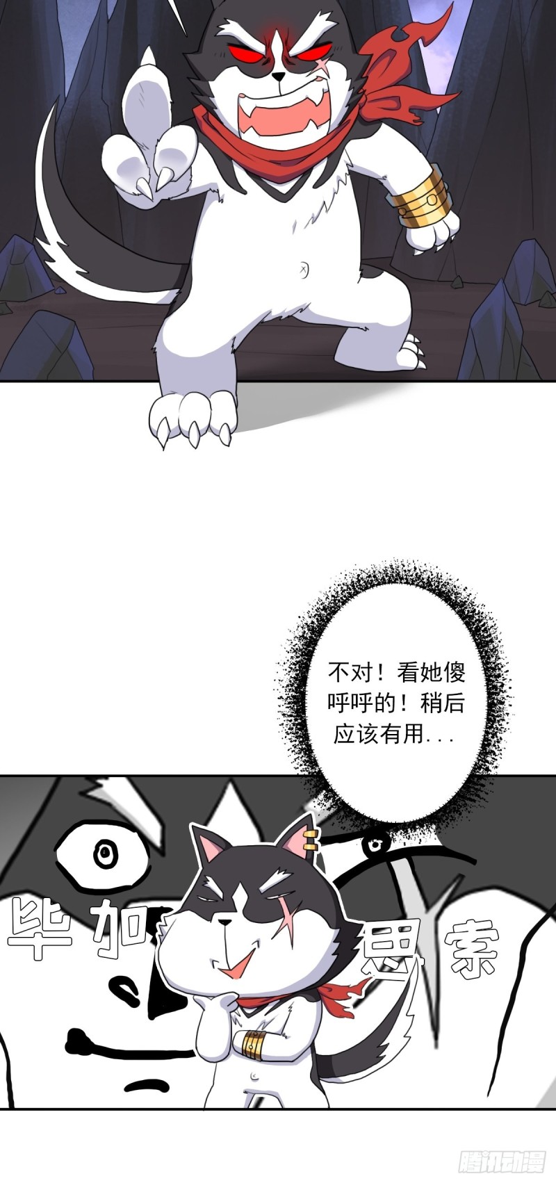 （第二季）野生的小狗狗39