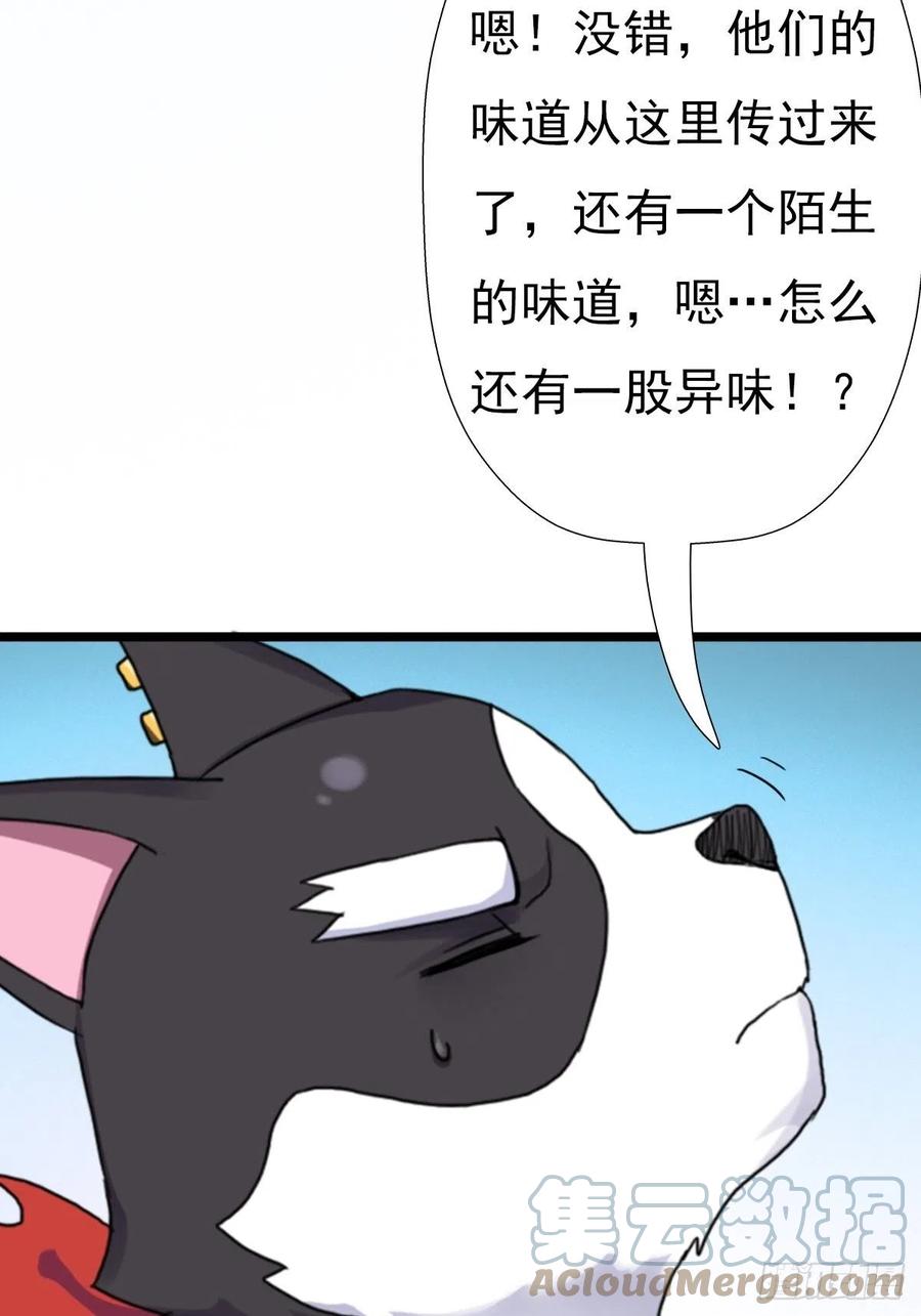 （第二季）这里是什麽球？36