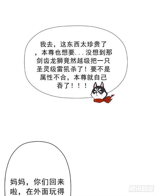 骨皇炼体60