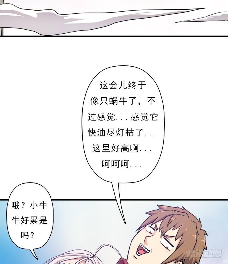 金铃儿32