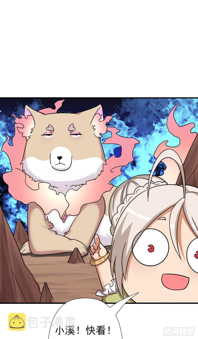魅狐君怡14