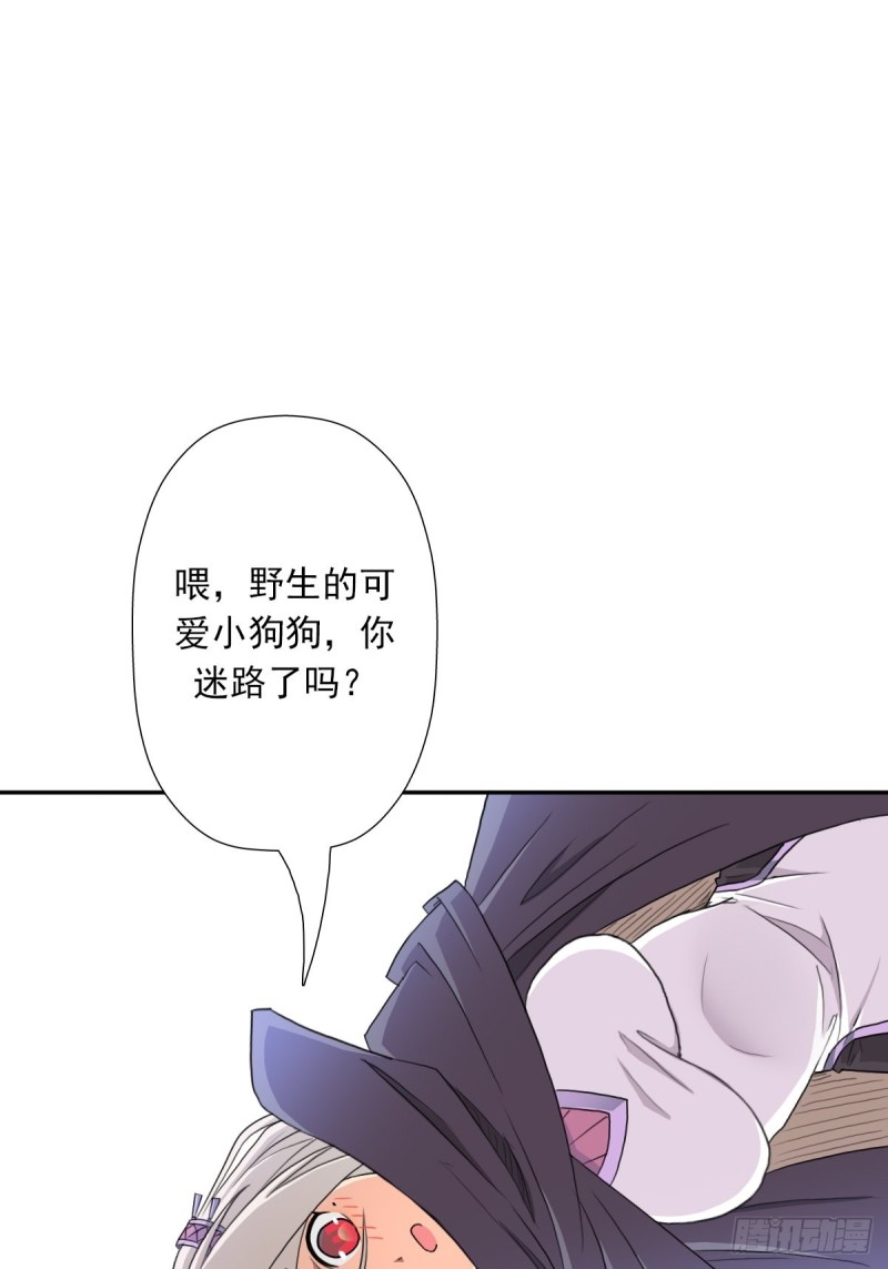 （第二季）野生的小狗狗37