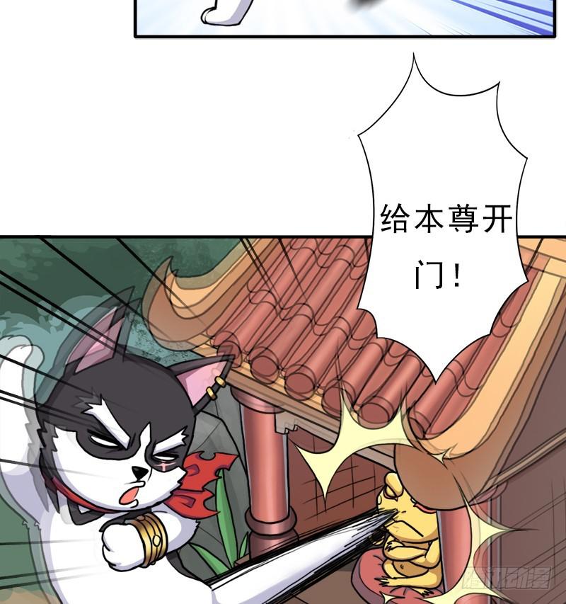 金蟾大人63