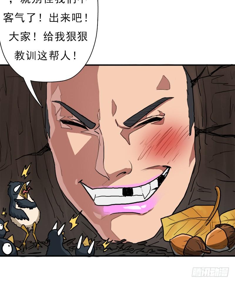 逆天改命的技能13