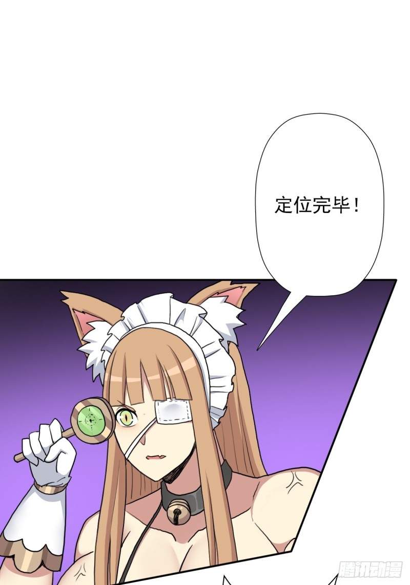 （第二季）野生的小狗狗2