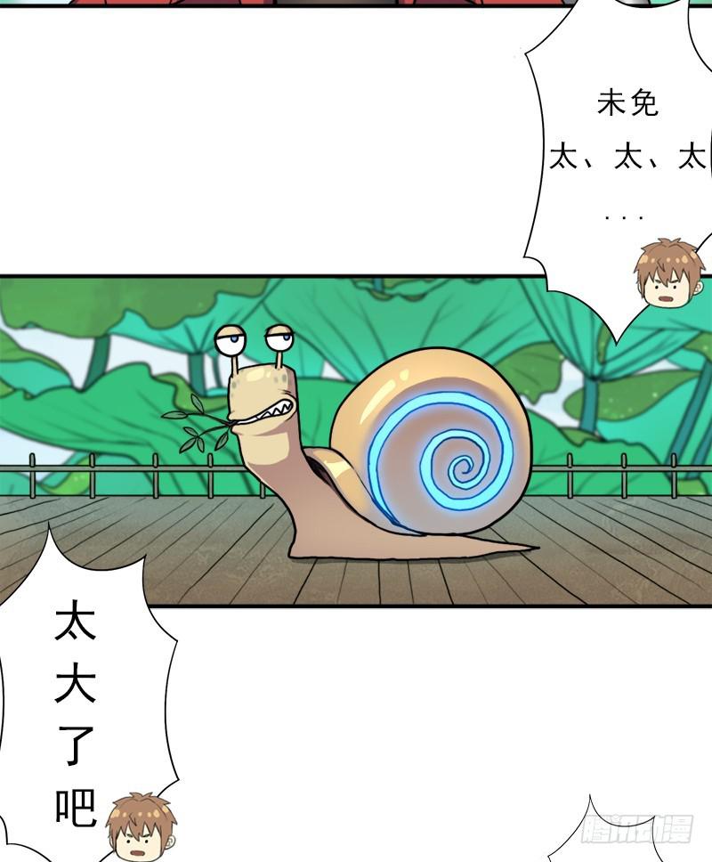 金铃儿13