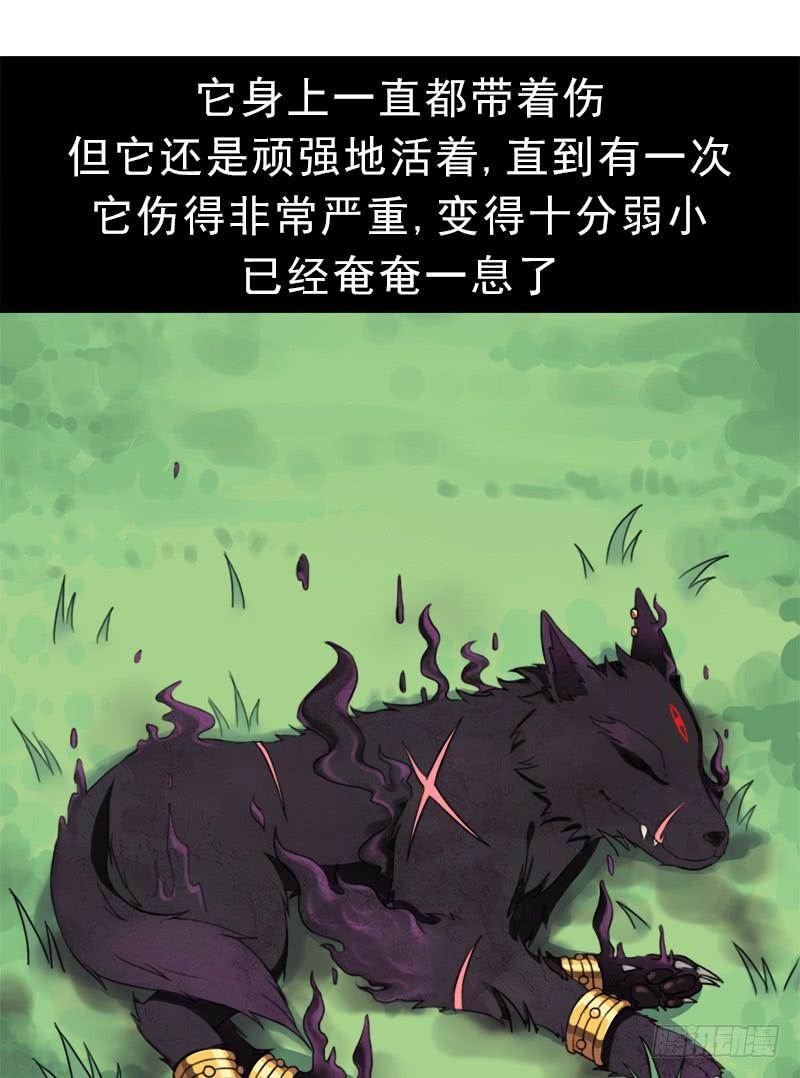 邪尊与女神曦16