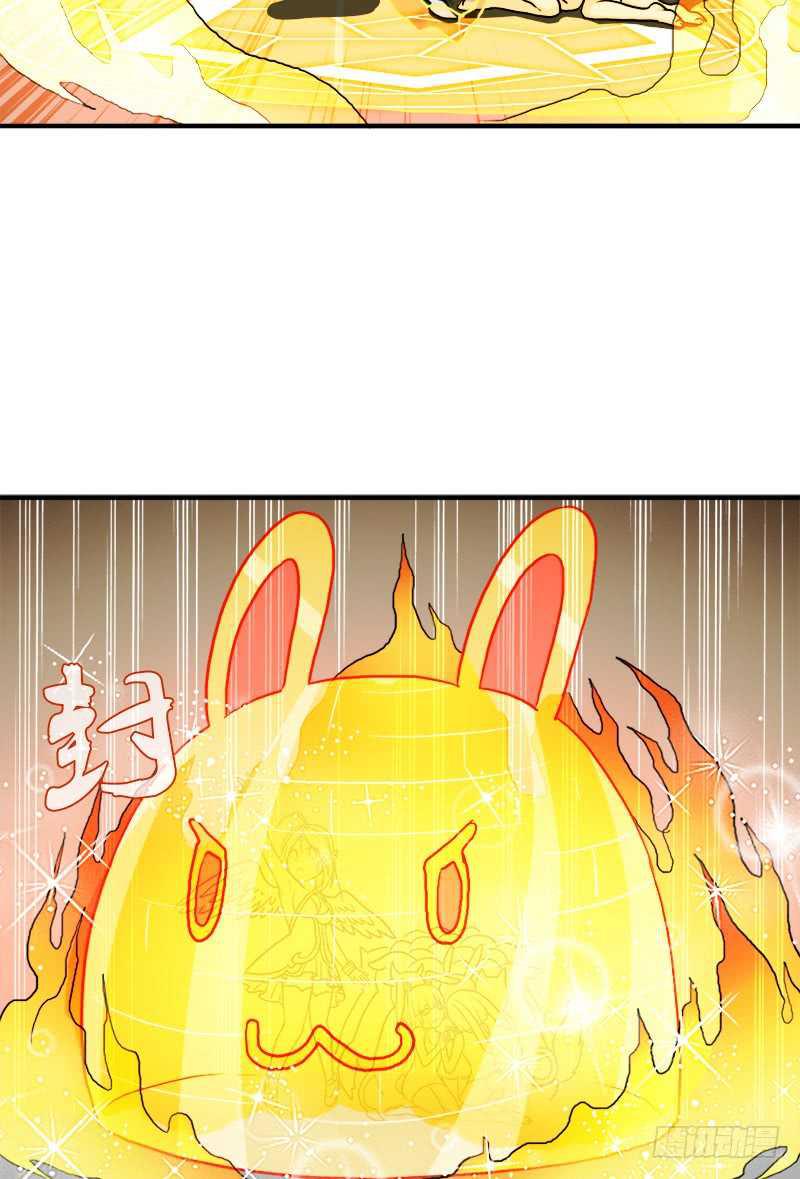 黑熊VS花衣65
