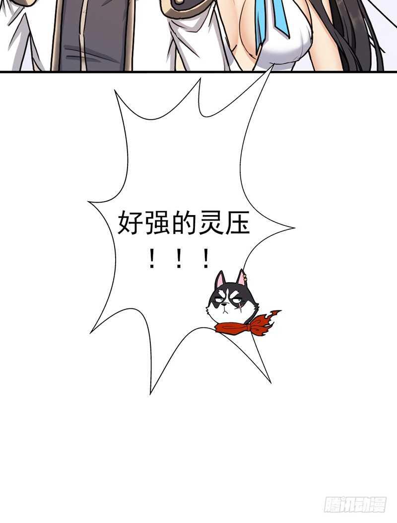 黑熊VS花衣53