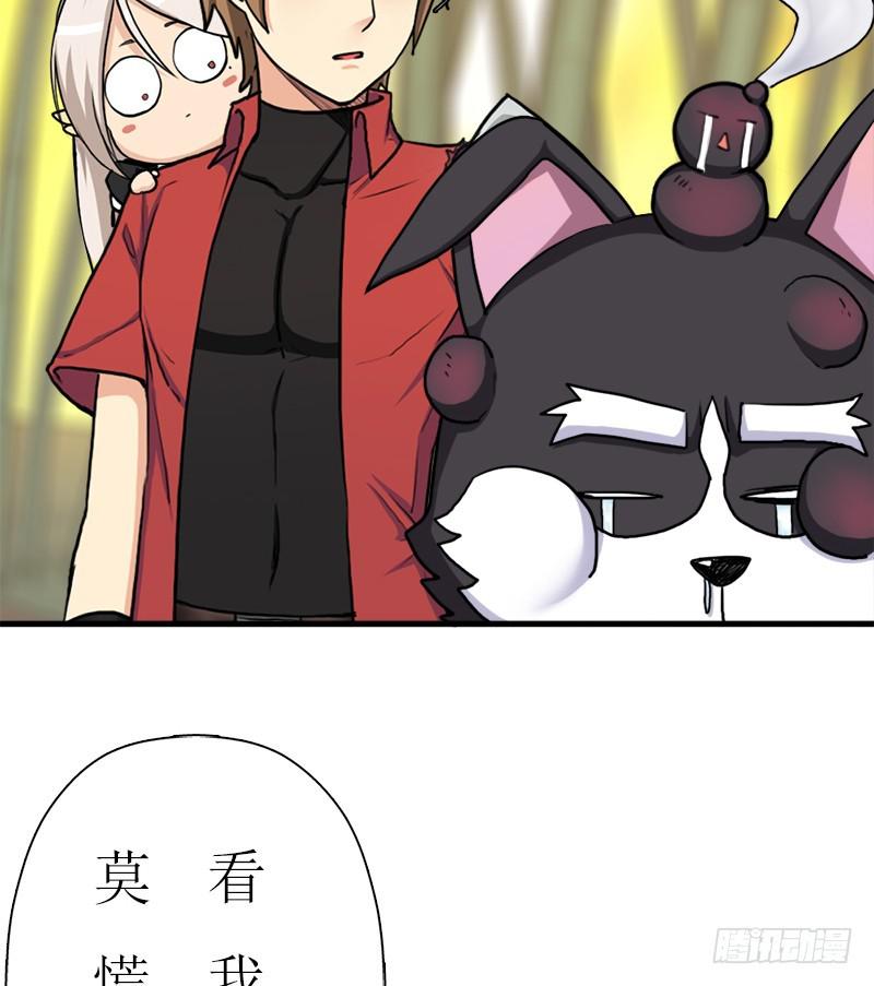 金蟾大人60