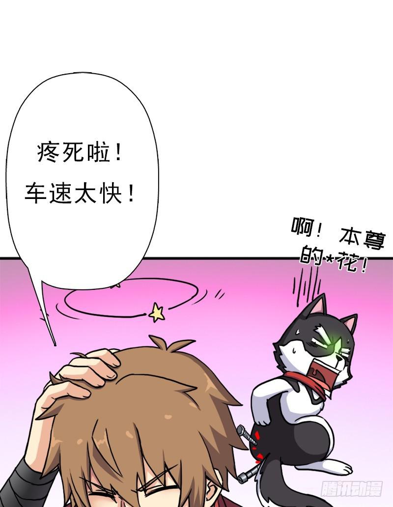 狐假虎威8