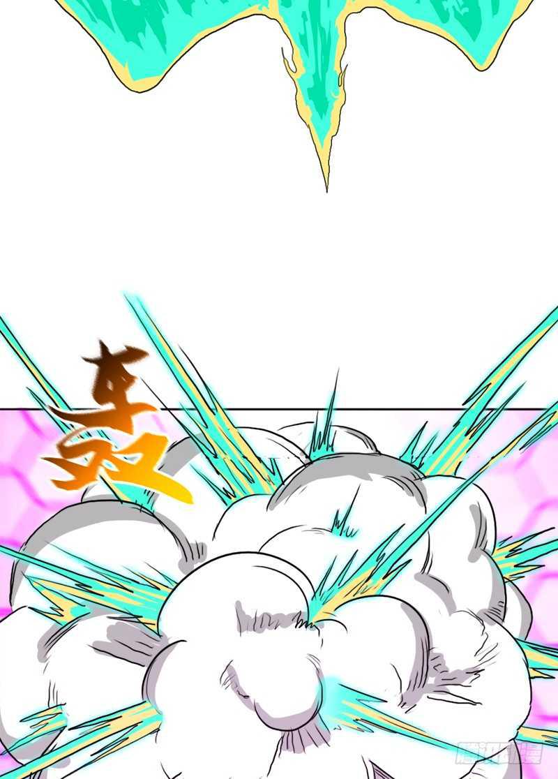黑熊VS花衣3