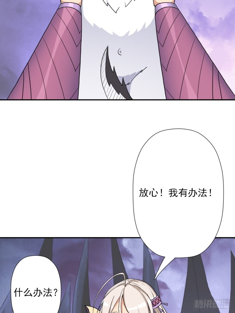 （第二季）野生的小狗狗44
