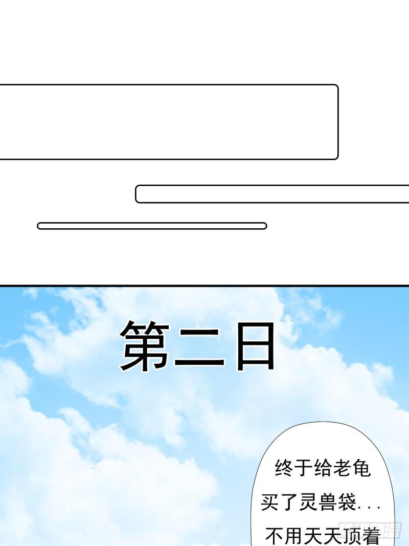 “鸢”字怎麽写？40
