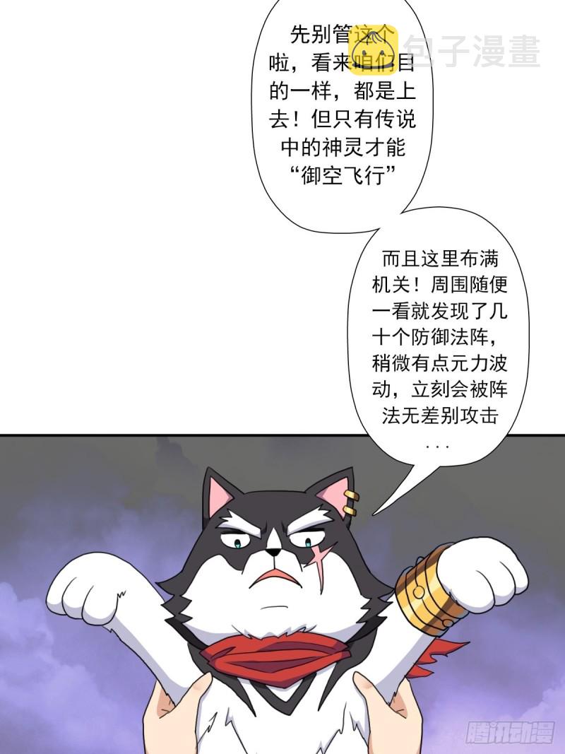 （第二季）野生的小狗狗43