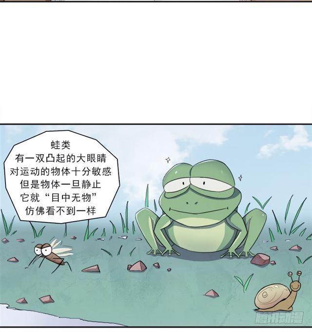 半狂化41