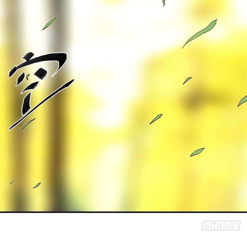 金蟾大人31