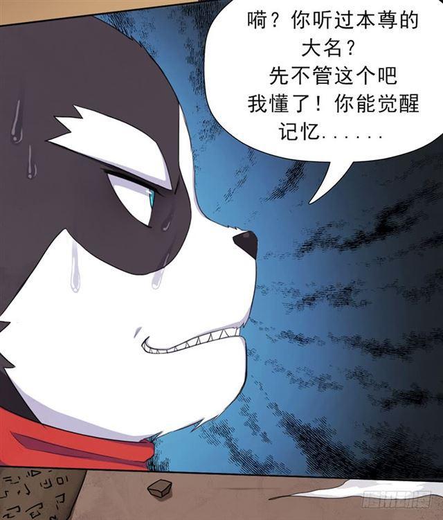 骨皇40