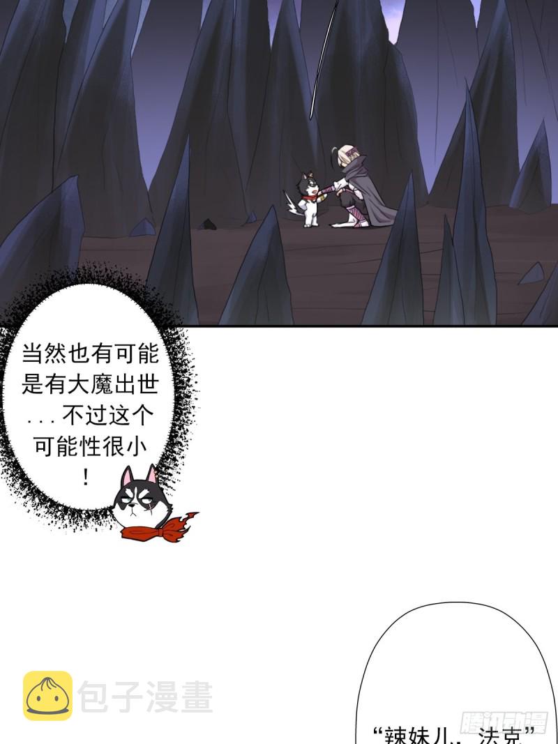 （第二季）野生的小狗狗41