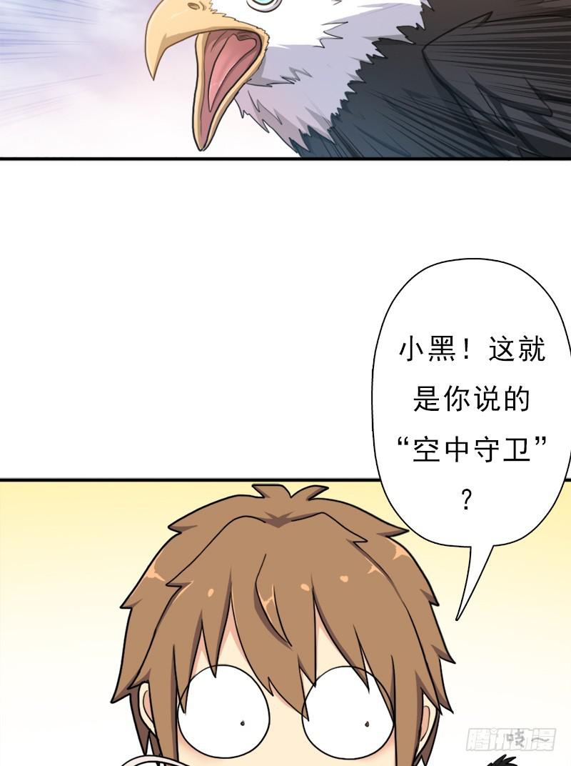 金铃儿54