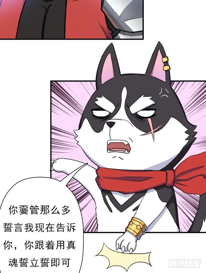 金蟾大人19