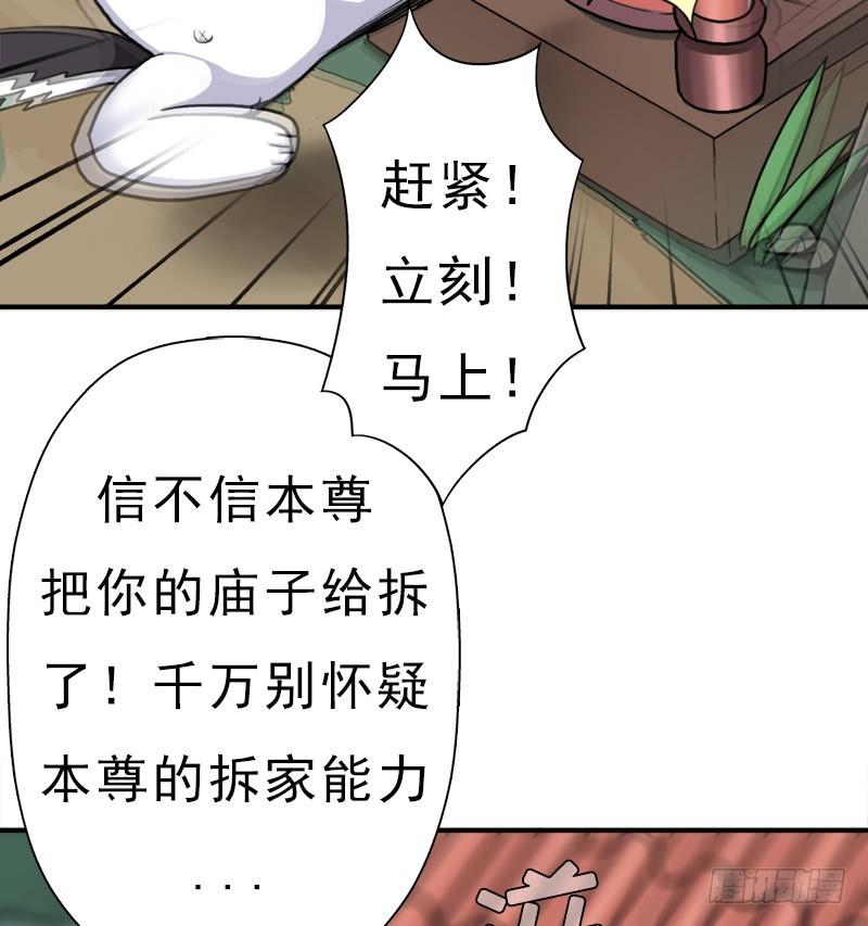 金蟾大人64