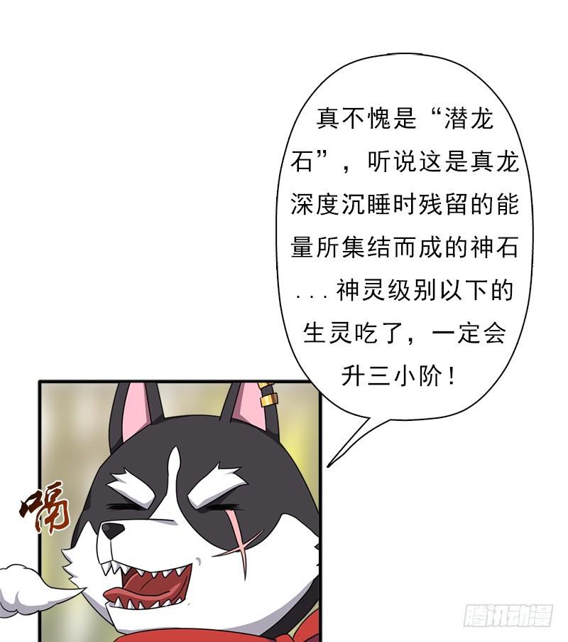 金蟾大人56
