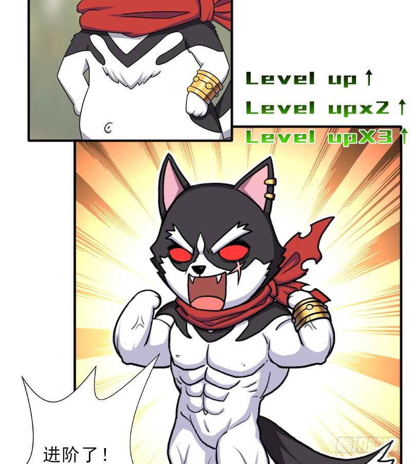 金蟾大人57