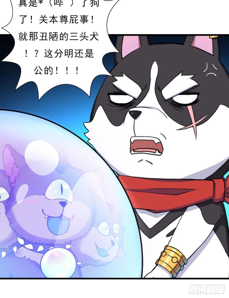 魔诞节暨抢婚比斗开始！27