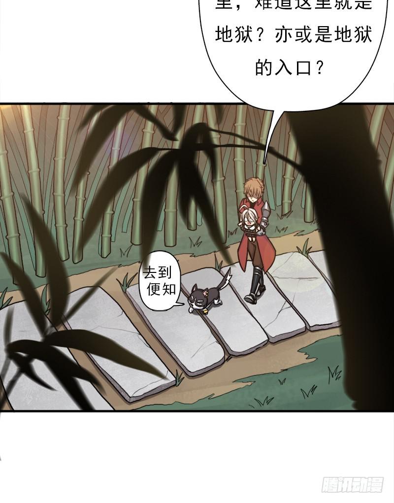 金蟾大人37