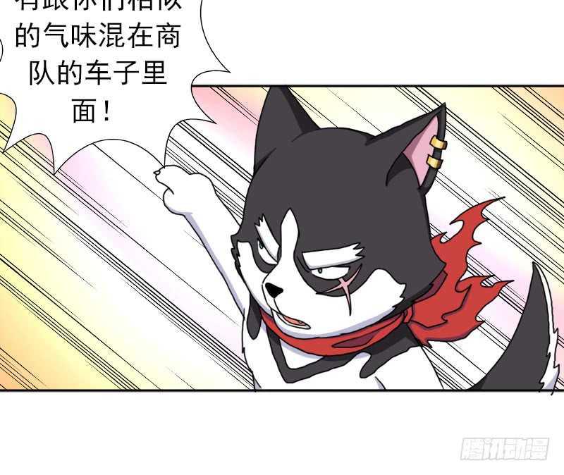 闯入强盗窝54