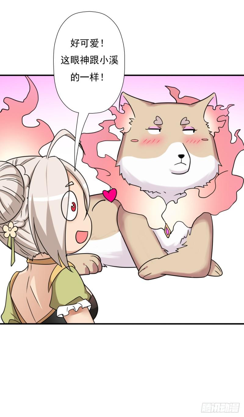 魅狐君怡16